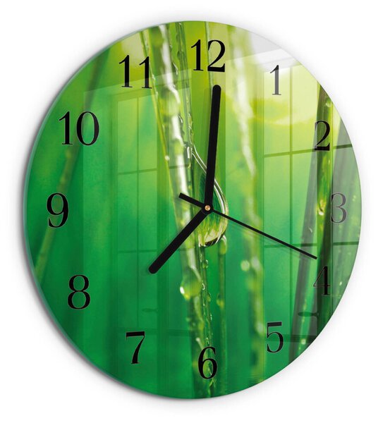 Skleněné nástěnné hodiny Kapky trávy zsoc-fi30-00173433