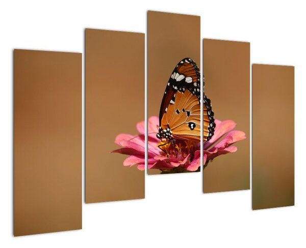 Obraz motýla (125x90cm)