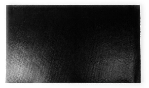 Linder Exclusiv Rohožka z kokosového vlákna 45x75 cm Černá