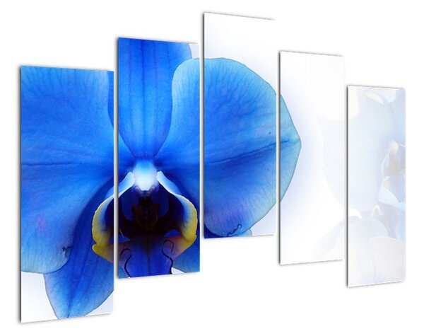 Obraz s orchidejí (125x90cm)