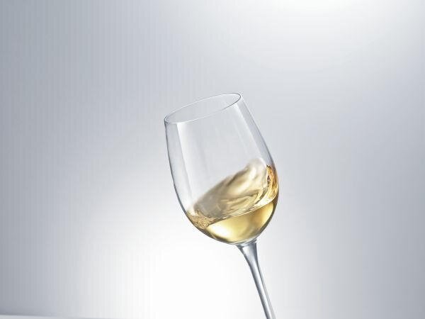 SKLENICE NA BURGUNDSKÉ Schott Zwiesel - Sklenice na červené víno