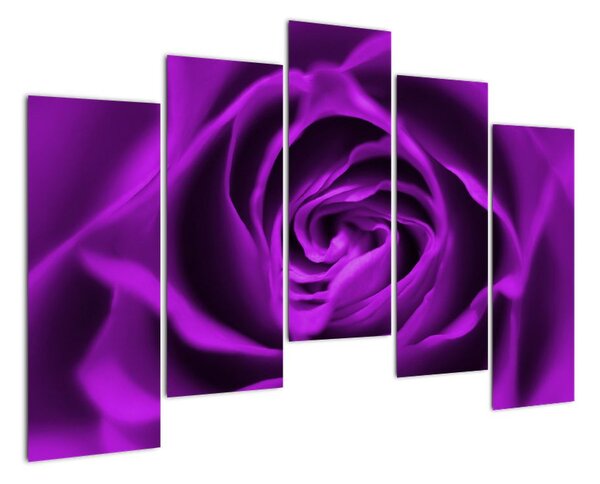 Obraz růže (125x90cm)