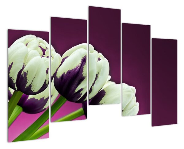 Makro tulipánů - obraz (125x90cm)