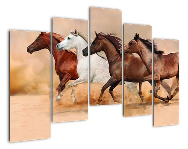 Obraz kůň (125x90cm)