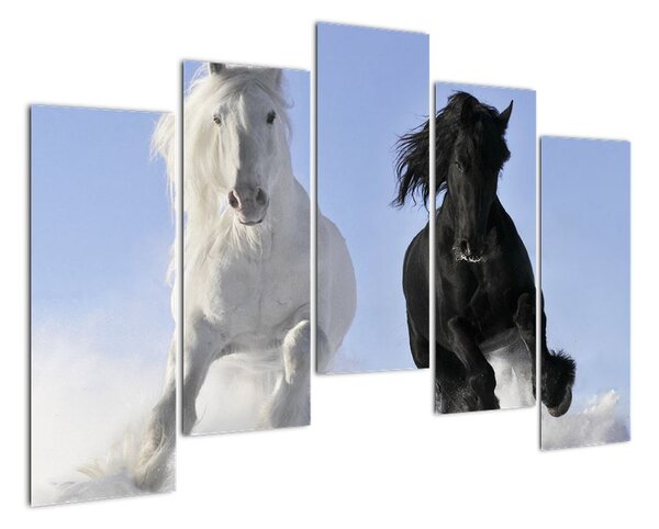 Koně, obraz (125x90cm)