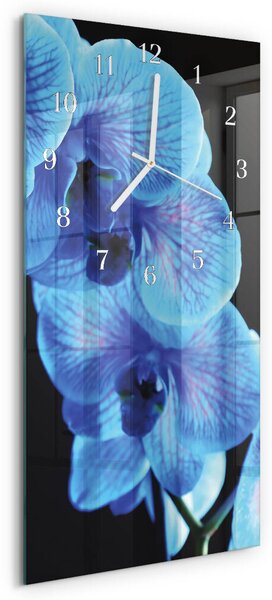 Skleněné hodiny vertikální Květ zsppb-30x60-00091507