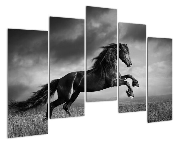 Obraz koně na stěnu (125x90cm)