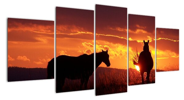 Obraz - koně při západu slunce (150x70cm)