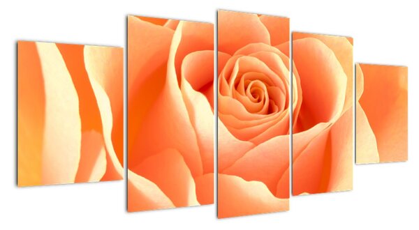 Obraz oranžové růže (150x70cm)