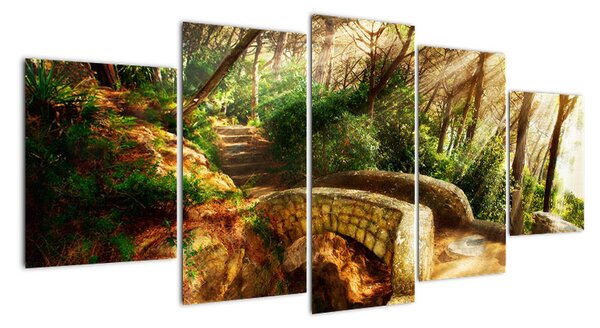 Obraz lesní cesty (150x70cm)