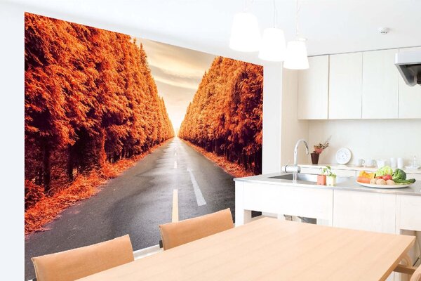 DIMEX | Vliesová fototapeta Podzimní silnice MS-5-2871 | 375 x 250 cm | žlutá, šedá