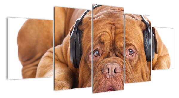 Moderní obraz - pes se sluchátky (150x70cm)