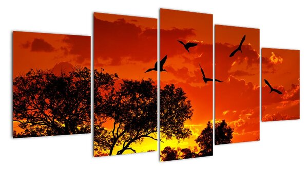 Obraz zapadajícího slunce s ptáky (150x70cm)