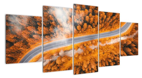 Cesta lesem - moderní obrazy na zeď (150x70cm)