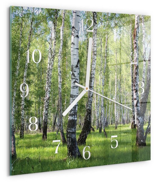 Skleněné hodiny Březový les zskb-30x30-00081131