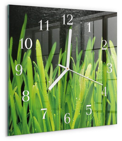 Skleněné hodiny Tráva zskb-30x30-00091779