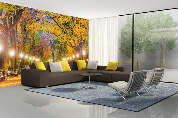 DIMEX | Vliesová fototapeta Central Park na podzim MS-5-3019 | 375 x 250 cm | zelená, modrá, žlutá, hnědá