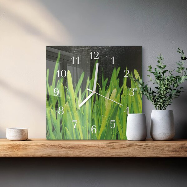 Skleněné hodiny Tráva zskb-30x30-00091779