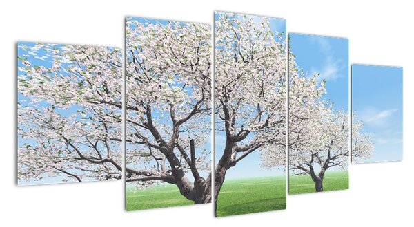 Obraz kvetoucího stromu na jarní louce (150x70cm)