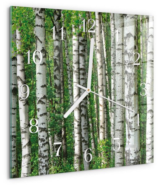 Skleněné hodiny Břízy zskb-30x30-00084742