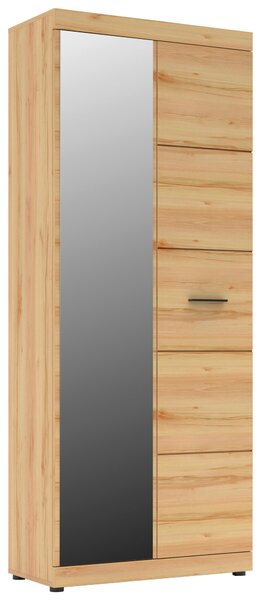 SKŘÍŇ NA ODĚV, barvy buku, 80/200/40 cm Cantus - Šatní skříně