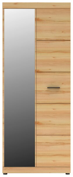 SKŘÍŇ NA ODĚV, barvy buku, 80/200/40 cm Cantus - Šatní skříně