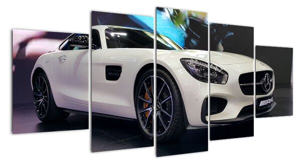 Obraz závodního automobilu (150x70cm)