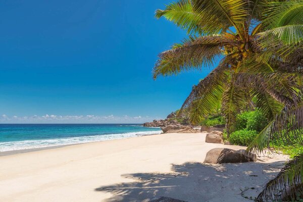 DIMEX | Vliesová fototapeta Tropická pláž MS-5-3215 | 375 x 250 cm | zelená, modrá, bílá