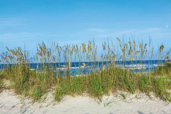 DIMEX | Vliesová fototapeta Tráva na pláži MS-5-3220 | 375 x 250 cm | zelená, modrá, bílá