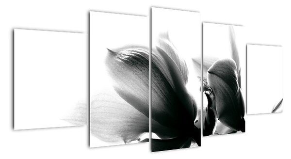 Obraz černobílých květů (150x70cm)
