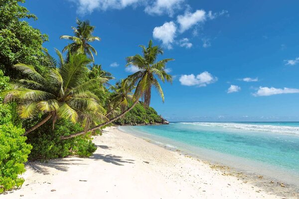 DIMEX | Vliesová fototapeta Palmy na tropickém ostrově MS-5-3216 | 375 x 250 cm | zelená, modrá, bílá
