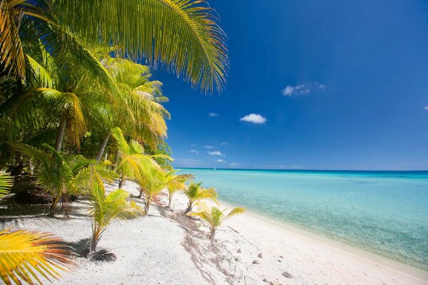 DIMEX | Vliesová fototapeta Pláž na tropickém ostrově MS-5-3242 | 375 x 250 cm | zelená, modrá, krémová