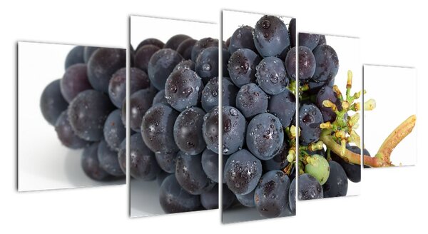 Obraz s hroznovým vínem (150x70cm)