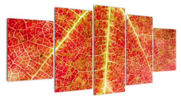 Abstraktní obraz (150x70cm)