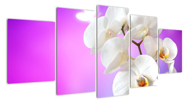 Obraz s orchidejí (150x70cm)