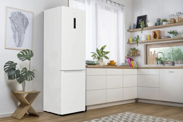 Lednice Gorenje NFB62CA2W4 (C)