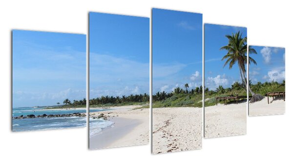 Exotická pláž - obraz (150x70cm)