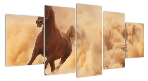 Cválající kůň - obraz (150x70cm)
