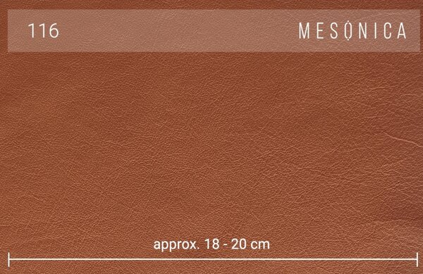Hnědá kožená rohová pohovka MESONICA Musso, pravá, 248 cm