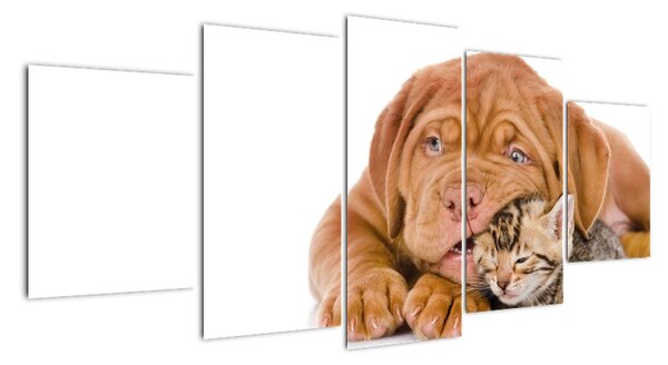 Štěně a kotě - obraz (150x70cm)