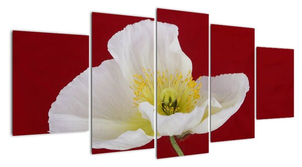 Obraz květu (150x70cm)