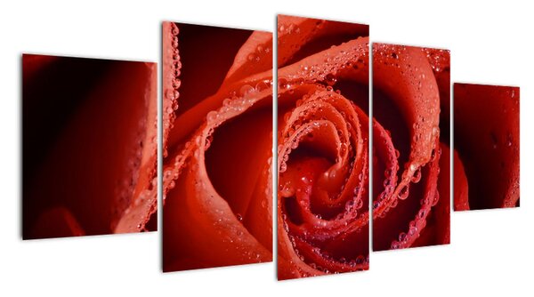 Obraz růže (150x70cm)