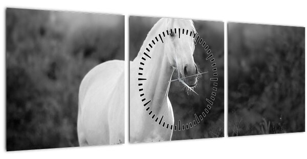 Obraz bílého koně na louce, černobílá (s hodinami) (90x30 cm)