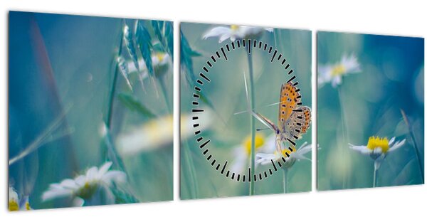 Obraz - Motýl na sedmikrásce (s hodinami) (90x30 cm)