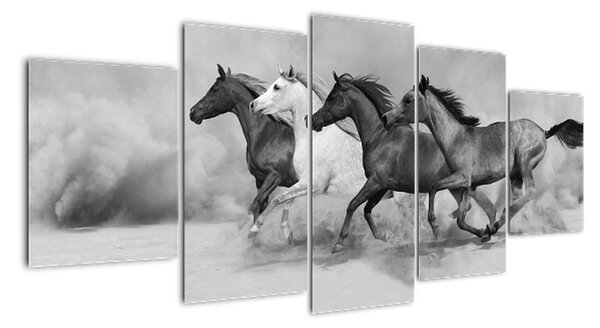 Obraz cválajících koňů (150x70cm)