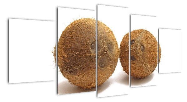 Kokosový ořech, obraz (150x70cm)