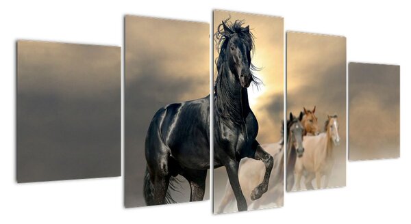 Obraz koně (150x70cm)