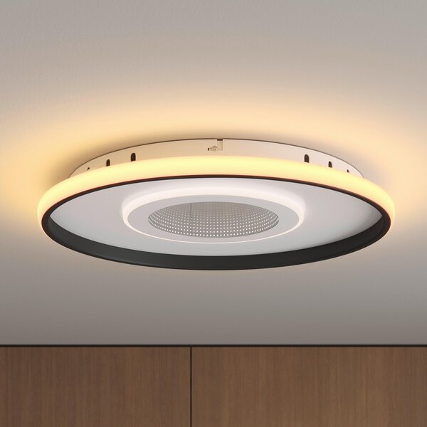 STROPNÍ LED SVÍTIDLO, 50/5,5 cm Novel - Online Only svítidla, Online Only