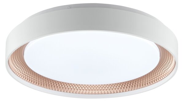 Brilliant - LED Stm stropní svítidlo WALDO LED/24W/230V bílá/rose gold + DO