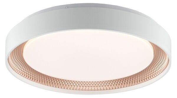 Brilliant - LED Stm stropní svítidlo WALDO LED/24W/230V bílá/rose gold + DO